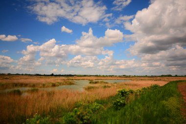Göl ve bulutlu gökyüzü ile yaz manzarası