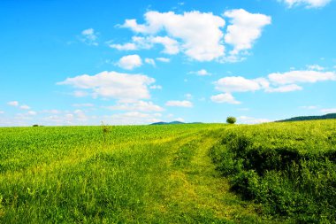 Mavi gökyüzü ve bulutlu yamaçtaki yeşil çimlerin manzara görüntüsü.