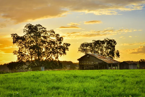 Sonbahar günbatımı üzerinde düşüyor