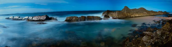Forster kumsalda — Stok fotoğraf
