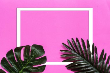 Pembe arkaplan üzerinde tropik yeşil yaprak kopyalama alanı