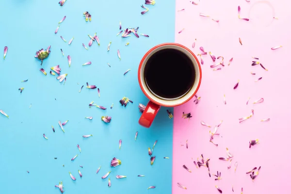 Tasse Kaffee Fflower Pastel Ton Blau Rosa Hintergrund — Stockfoto