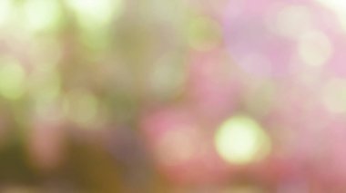 Renkli bokeh bulanık arkaplan 