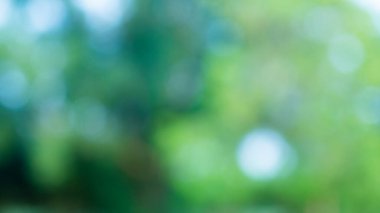 Renkli bokeh bulanık arkaplan 