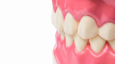 Diş hekimliği araçlarını ve diş hijyenisti check-up konseptini beyaz arka planda diş modeli oral sağlık sistemiyle kapatın.