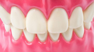 Diş hekimliği araçlarını ve diş hijyenisti check-up konseptini beyaz arka planda diş modeli oral sağlık sistemiyle kapatın.