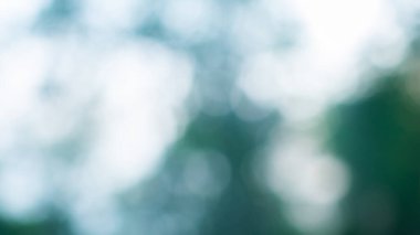 Renkli bokeh bulanık arkaplan 