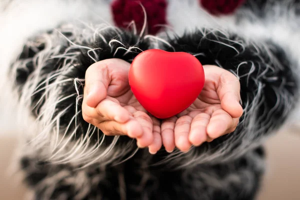 Fechar Mostrando Coração Vermelho Mão Mulher Conceito Amor — Fotografia de Stock