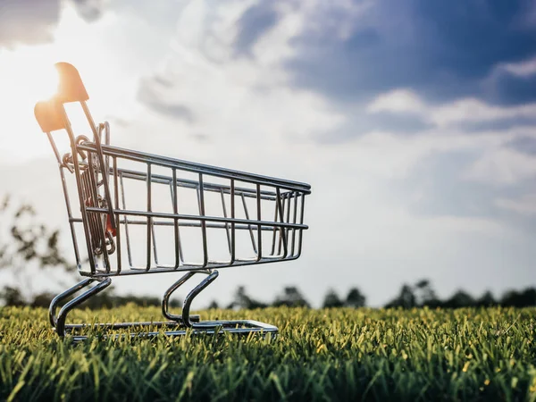 Leere Einkaufswagen Auf Grünem Gras Himmel Hintergrund Kopieren Raum — Stockfoto