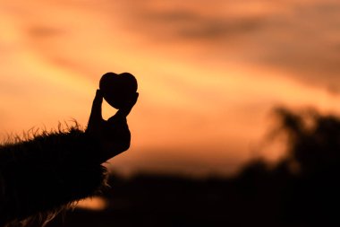 Oyuncak kalbi tutan kadın. 