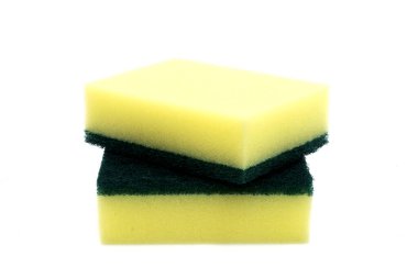 beyaz arkaplanda sünger