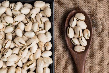 Pistachio, renkli modern arka plan