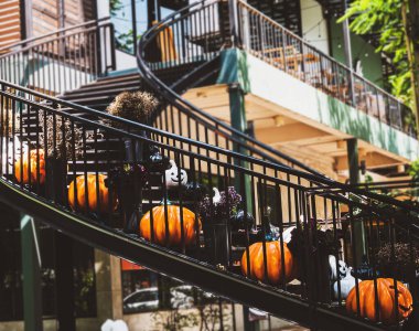 balkabağı merdivenlerde Cadılar Bayramı dış mekan dekorasyonları