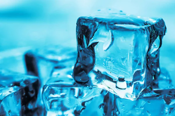 Ice Cubes Blue Background — Stock Photo, Image