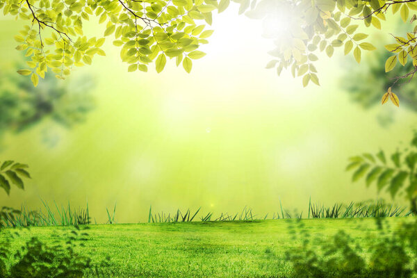 Green leaves with grass on bokeh background