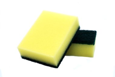 beyaz arkaplanda sünger