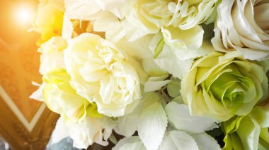 Yeşil yapraklı güzel beyaz güller. 