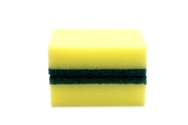 beyaz arkaplanda sünger