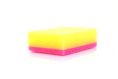 beyaz arkaplanda sünger