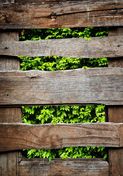 Гранжевая Деревянная Стена — стоковое фото