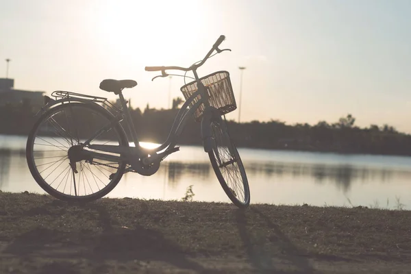 Cyklistika Parku Cestovní Výlet Relaxovat Cvičení — Stock fotografie