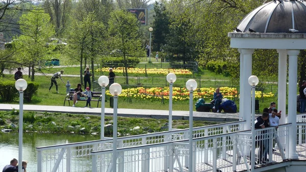 People Having Rest Park Spring Flowers — Stock Photo, Image