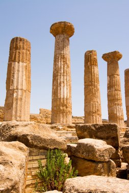Tapınaklar Vadisi, İtalya Sicilya'da Agrigento.