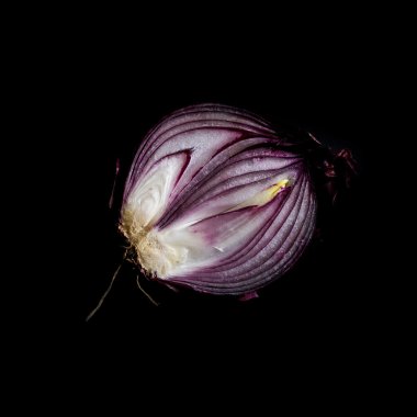 Studio siyah arka plan üzerine mor soğan