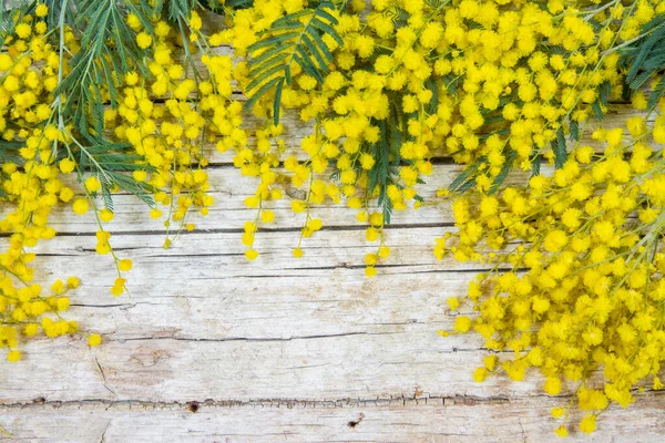 Mimosa Květiny Dřevěném Pozadí Března Symbol Dne Žen Jaro — Stock fotografie