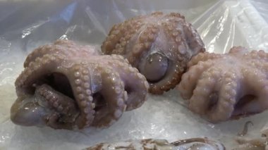 Ahtapot, tipik Akdeniz balığı Catania, Sicilya 'da balık pazarında. Çekim 4k