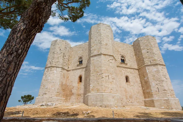 Castello Ottagonale Castel Del Monte Patrimonio Mondiale Unesco Puglia Italia — Foto Stock