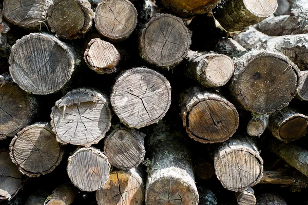 Pila de madera — Foto de Stock