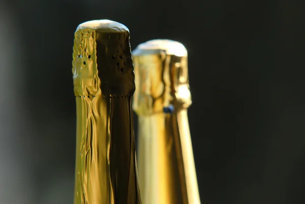 Bottles of sparkling wine — Stock Photo, Image