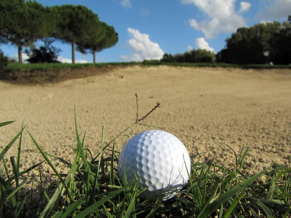 Golfbal — Stockfoto