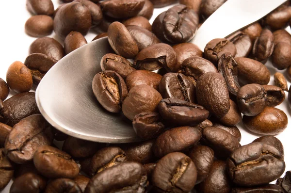 Coffee beans Stock Image