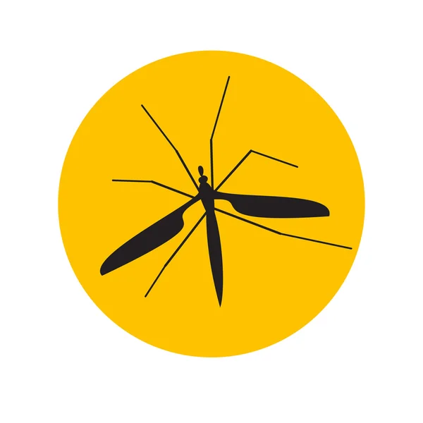 Zanzara nell'ambra — Vettoriale Stock