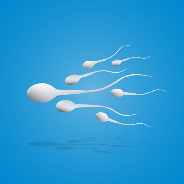 Vektör çizim sperm hareketi