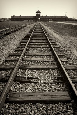 Ana kapı ve nazi toplama kampı Auschwitz b demiryollarına