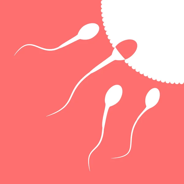 Human sperm cell and male fertility — Stock Vector