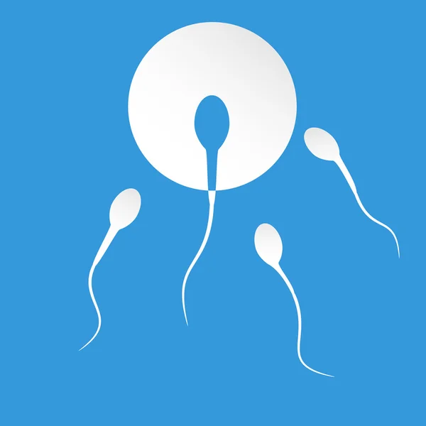 Ανθρώπινα κύτταρα σπέρματος και αρσενική γονιμότητα — Διανυσματικό Αρχείο