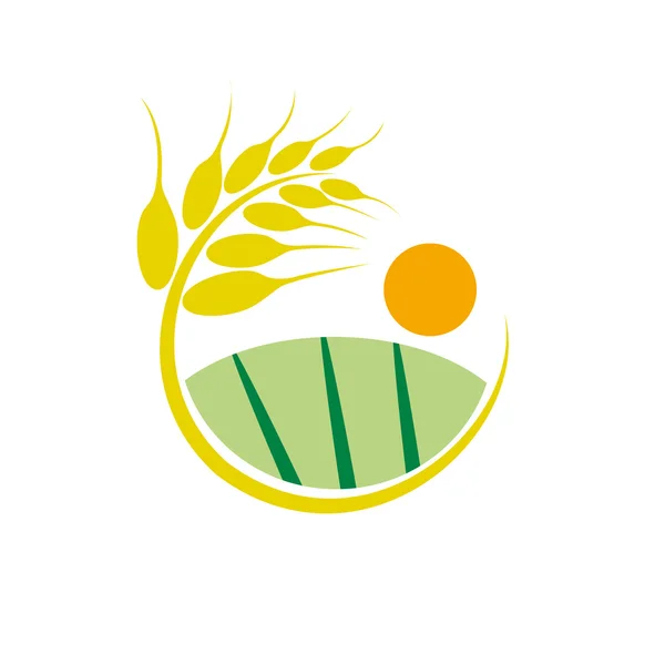 白色背景上的矢量符号小麦 — 图库矢量图片