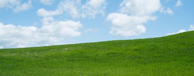 Çim ve gökyüzü ile bahar arka plan