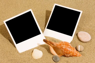 Cockleshells kum üzerinde plaj resimleri