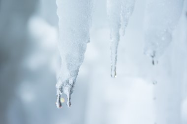 Kış arka plan. Damlar buz sarkıt