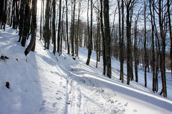 Paysage hivernal italien en montagne — Photo