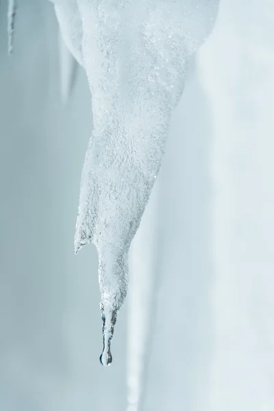 Fond d'hiver. stalactites de glace qui goutte — Photo