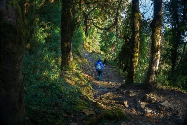 Annapurna Ana Kampı 'nda yürüyüş yapan genç bir kadın.