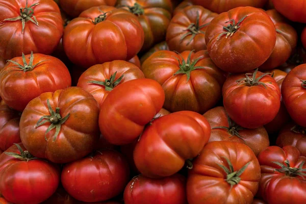 stock image A lot of colorful and healthy tomatoes in a street market