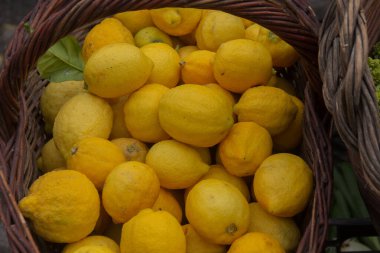 Bir sepet dolusu leziz ve renkli limon.