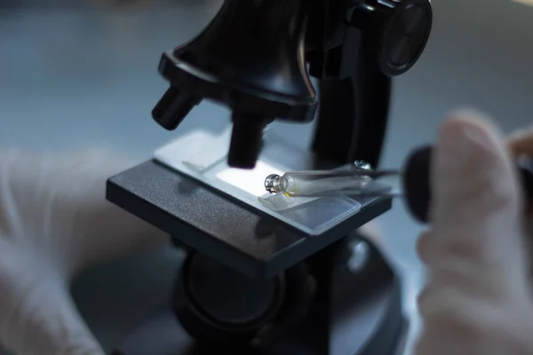 Scientist putting a sample on a microscope slide  with a dropper